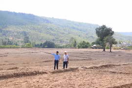 Gia Lai triển khai các quy định về phân định, phân quyền, phân cấp thẩm quyền trong lĩnh vực đất đai