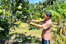 An Lão quyết tâm về đích nông thôn mới vào năm 2027