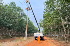 Các đơn vị trực thuộc của công ty đang tập trung vệ sinh, bảo dưỡng thiết bị.