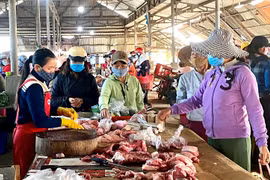 Tại miền Bắc và miền Trung-Tây Nguyên giá heo hơi tăng 1.000 đồng/kg trong ngày 28-9. Ảnh: M.T