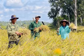 Chư Krey chuyển biến mạnh mẽ, hướng tới mục tiêu bứt phá