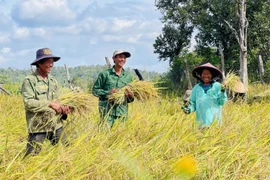 Chư Krey chuyển biến mạnh mẽ, hướng tới mục tiêu bứt phá