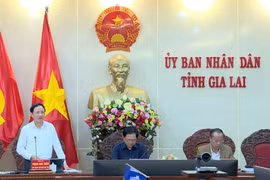 Tập trung tháo gỡ các dự án vướng mắc tại khu vực tây Gia Lai