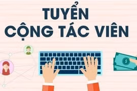Tính từ đầu tháng 7-2025 đến nay, trên địa bàn tỉnh đã xảy ra 12 vụ lừa đảo qua mạng với thủ đoạn bán hàng hưởng hoa hồng. Ảnh minh họa: Internet