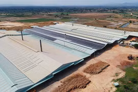 Gia Lai triển khai giải pháp đảm bảo cung ứng điện trong các tháng cao điểm