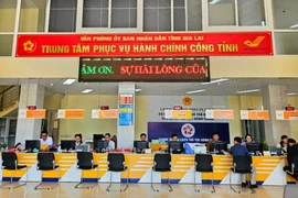 Gia Lai: Hoàn thành việc cấp mã số thuế, tài khoản kho bạc cho UBND cấp xã mới chậm nhất vào ngày 30-6