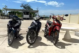 Tang vật vụ việc. Ảnh: N.M