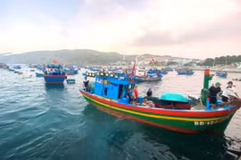 Nâng cao hiệu lực xử phạt để chống khai thác IUU