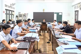 Ban Quản lý phường Diên Hồng rà soát hồ sơ các dự án đầu tư. Ảnh: H.T