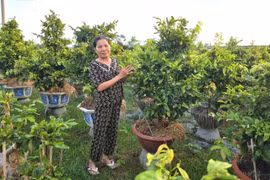 “Bệ đỡ” giúp người dân thoát nghèo