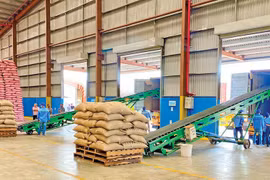 Kim ngạch xuất khẩu nông-lâm-thủy sản 7 tháng tăng trưởng 14,7%