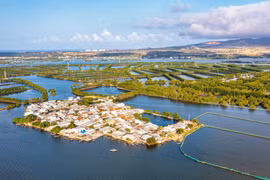 Thương mại, dịch vụ, du lịch là mũi nhọn kinh tế của Tuy Phước Đông