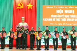 Gia Lai: Công bố quyết định thành lập 10 tổ chức Đảng trực thuộc Đảng bộ Quân sự tỉnh