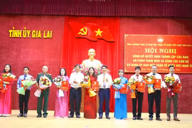 Công bố các quyết định về thành lập các ban tham mưu, giúp việc thuộc cơ quan Ủy ban MTTQ Việt Nam tỉnh