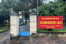 Trưởng phòng của PJICO Gia Lai lãnh án vì đánh bạc 