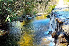 Gia Lai công bố 7 thủ tục hành chính nội bộ thuộc lĩnh vực môi trường