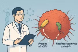 Nhật Bản nghiên cứu thành công "liệu pháp AUN" điều trị ung thư