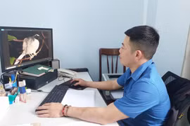 Ông Nguyễn Tấn Đăng Trình-Chuyên viên Phòng Tổ chức-Hành chính (Vườn Quốc gia Kon Ka Kinh), kiểm tra những hình ảnh từ phần mềm Smart chuyển về.