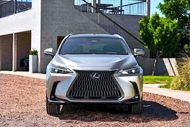 Lexus NX 2025 nâng cấp tập trung vào trang bị tiện ích, giá từ 1,08 tỷ đồng