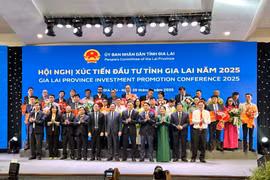 Gia Lai là điểm đến chiến lược của các nhà đầu tư