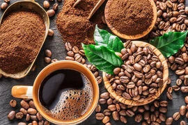 Ngày 10-8, giá cà phê tại Gia Lai ở mức 103.600 đồng/kg