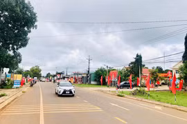 Sức sống mới ở Ia Dom