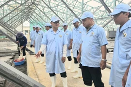 Triển khai quyết liệt, có hiệu quả công tác chống khai thác IUU