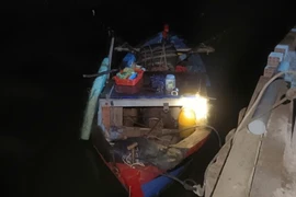 Liên tiếp phát hiện hành vi sử dụng xung điện xiếc máy để khai thác thủy sản trên đầm Thị Nại