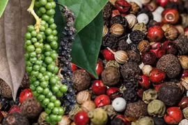 Hồ tiêu tăng giá trở lại nhiều ngày đứng im, cà phê tiếp tục lập mốc lịch sử