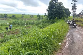 Khu vực đồng ruộng ở thôn Piơm-nơi bà N. gặp nạn