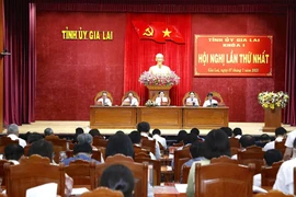 Ban Chấp hành Đảng bộ tỉnh Gia Lai khai mạc hội nghị lần thứ nhất