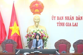 Triển khai các nhiệm vụ cấp bách liên quan đến Bệnh viện Đa khoa Gia Lai