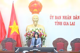 Triển khai các nhiệm vụ cấp bách liên quan đến Bệnh viện Đa khoa Gia Lai