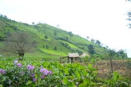 Thăm ngôi làng dưới chân núi Chư Đang Ya