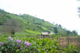 Thăm ngôi làng dưới chân núi Chư Đang Ya