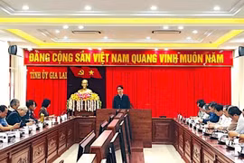 Gia Lai: Ủy quyền giải quyết một số thủ tục về hội cấp tỉnh