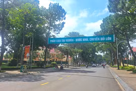 Gia Lai quy định việc quản lý chi phí dịch vụ sự nghiệp công chiếu sáng đô thị, cây xanh đô thị