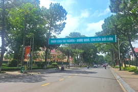 Gia Lai quy định việc quản lý chi phí dịch vụ sự nghiệp công chiếu sáng đô thị, cây xanh đô thị