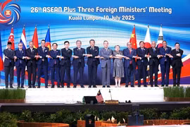 Phấn đấu đến năm 2045 có khoảng 150 cơ quan đại diện Việt Nam trên toàn thế giới