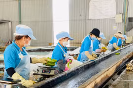 Quy định mức điều chỉnh tiền lương và thu nhập tháng đã đóng bảo hiểm xã hội