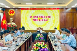 Quang cảnh hội nghị trực tuyến tại điểm cầu tỉnh Gia Lai. Ảnh: T.D