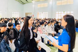 Học sinh lớp 10 tham gia tư vấn chọn tổ hợp môn học lựa chọn