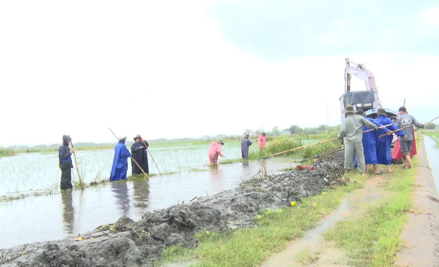 Arbetare vid Binh Dinh Irrigation Works Exploitation Company Limited muddrar kanaler och renar vattenflödet i Tuy Phuoc Dong kommun. Foto: T. Loi khoi-thong-dong-chat.png