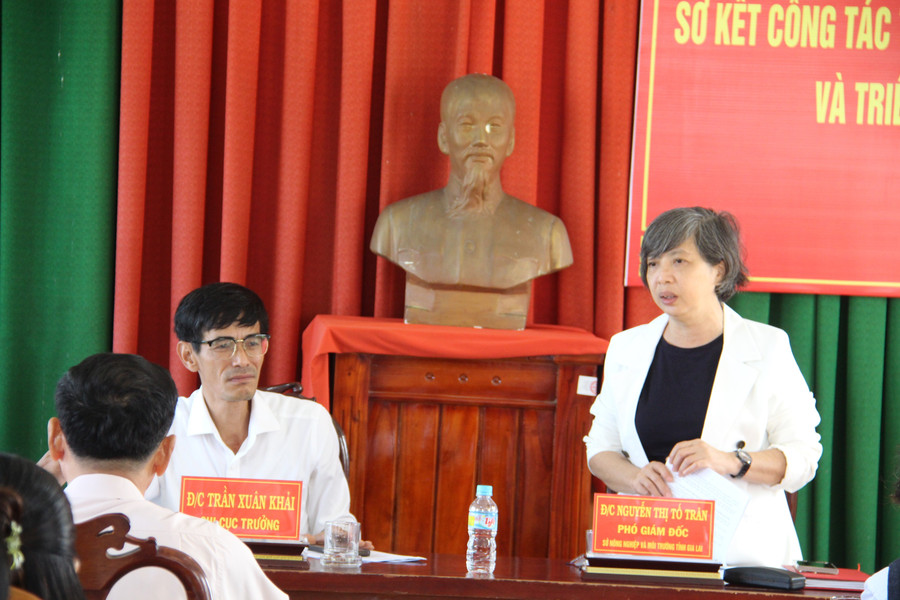 Fru Nguyen Thi To Tran, assisterende direktør i departementet for landbruk og miljø, holdt en tale på konferansen. Foto: Trong Loi hoi-nghi-so-ket.jpg