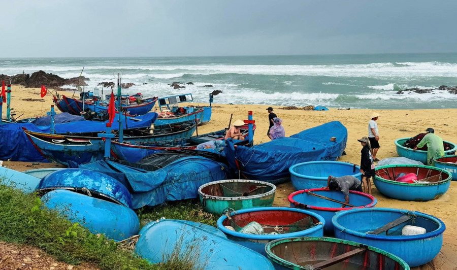Ngư dân ở xã Phù Mỹ Bắc chủ động đưa thuyền thúng, ngư lưới cụ lên bờ chằng neo kỹ lưỡng để tránh bão số 12. Ảnh: ĐVCC tau-ca-neo-dau.jpg