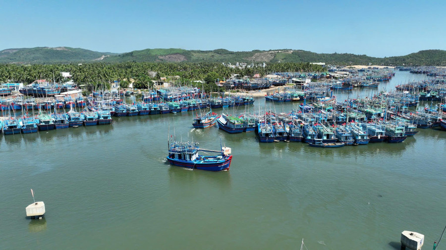 Tàu cá neo đậu tại cảng cá Tam Quan tránh bão số 10. Ảnh: T.L e842e11d19db9385caca.jpg