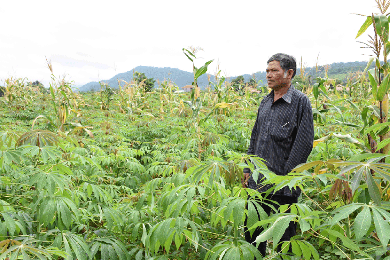 Ông Đing A Rớh luôn tìm cách làm giàu cho bản thân và hỗ trợ dân làng phát triển sản xuất. Ảnh: Ngọc Tấn Ảnh: Ngọc Tấn