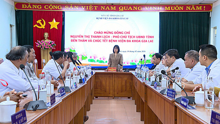 pho-chu-tich-ubnd-tinh-nguyen-thi-thanh-lich-chuc-tet-tai-bv-da-khoa-gia-lai.jpg