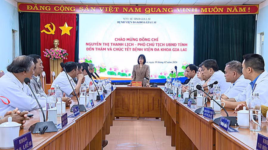 pho-chu-tich-ubnd-tinh-nguyen-thi-thanh-lich-chuc-tet-tai-bv-da-khoa-gia-lai.jpg