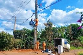 Đội Quản lý điện Chư Prông cải tạo lưới điện.